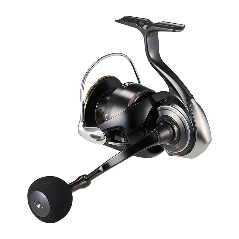 Carrete de Pesca DAIWA 2026 Ce - Daiwa Reel Bg reseña y precio
